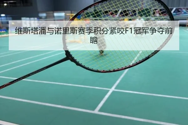 维斯塔潘与诺里斯赛季积分紧咬F1冠军争夺前瞻